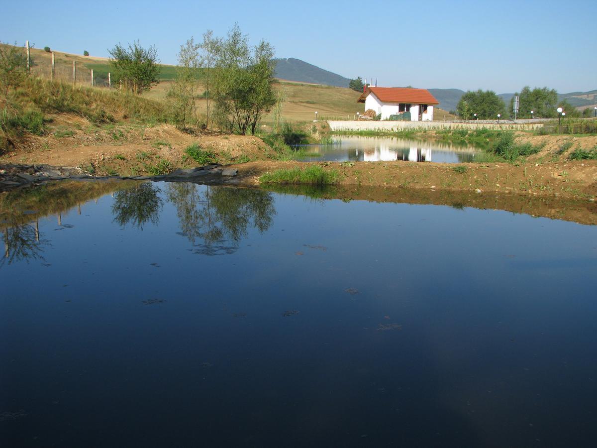 Park Hotel Eagle Stone Koprivshtitsa Exterior photo
